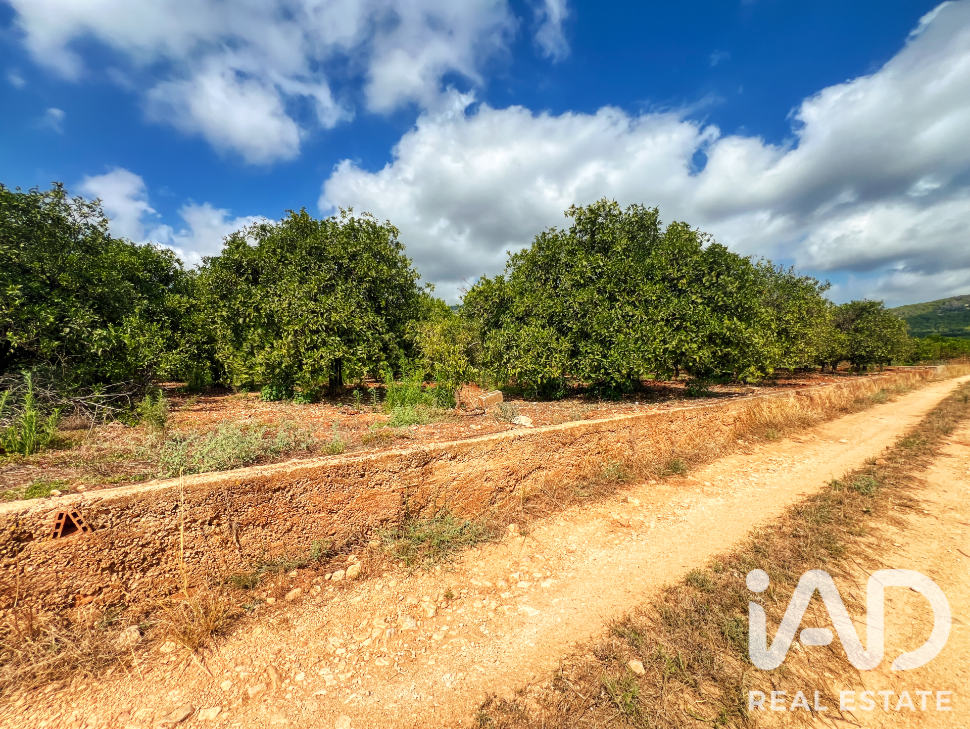 Commercial property in Oliva, Valencia, Spain No. 193500