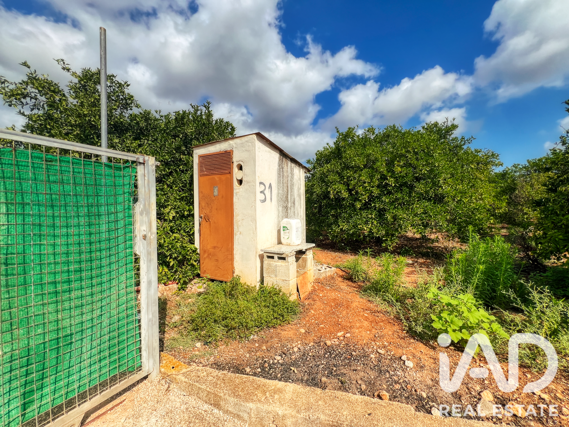 Commercial property in Oliva, Valencia, Spain No. 193500