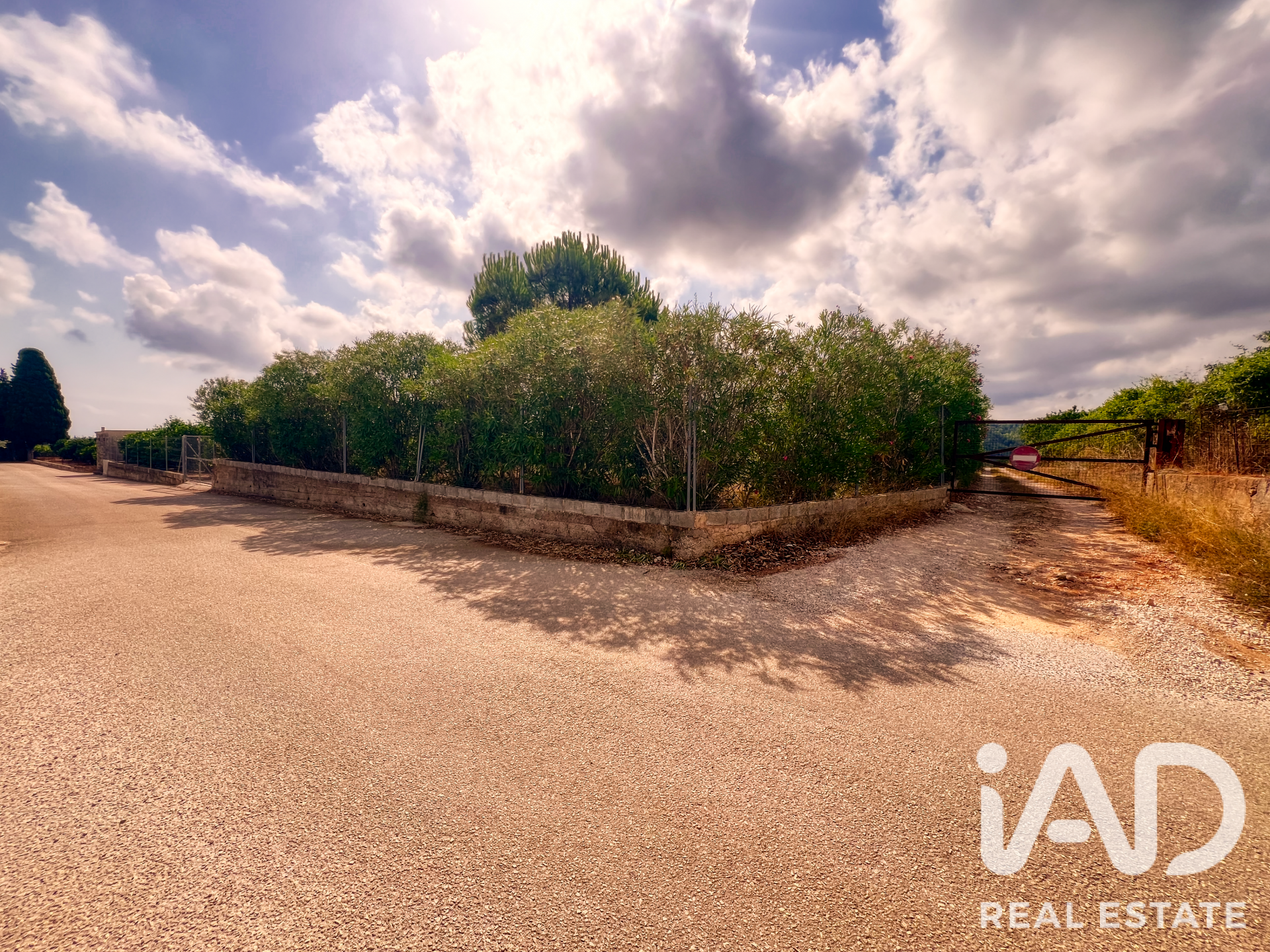 Commercial property in Oliva, Valencia, Spain No. 193500