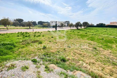 Land in Peralada, Girona, Spanien 2552 m2 Nr. 159432