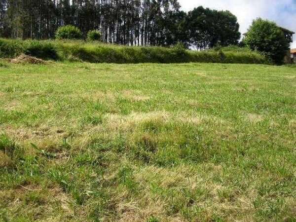 Land plot in Cudillero, Asturias, Spain No. 182893