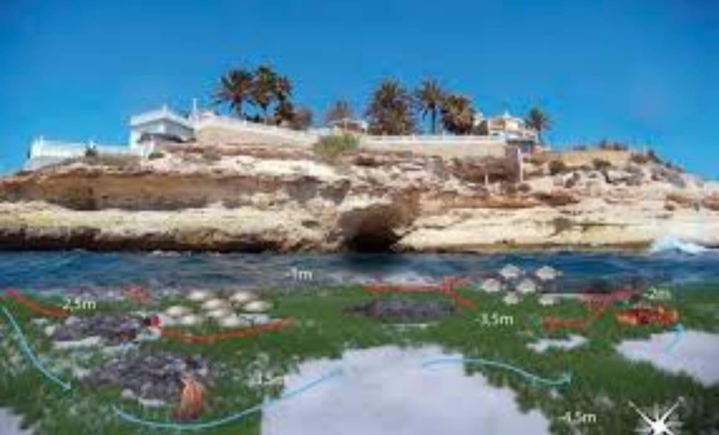 Land plot à El Campello, Alicante, Espagne No. 182891