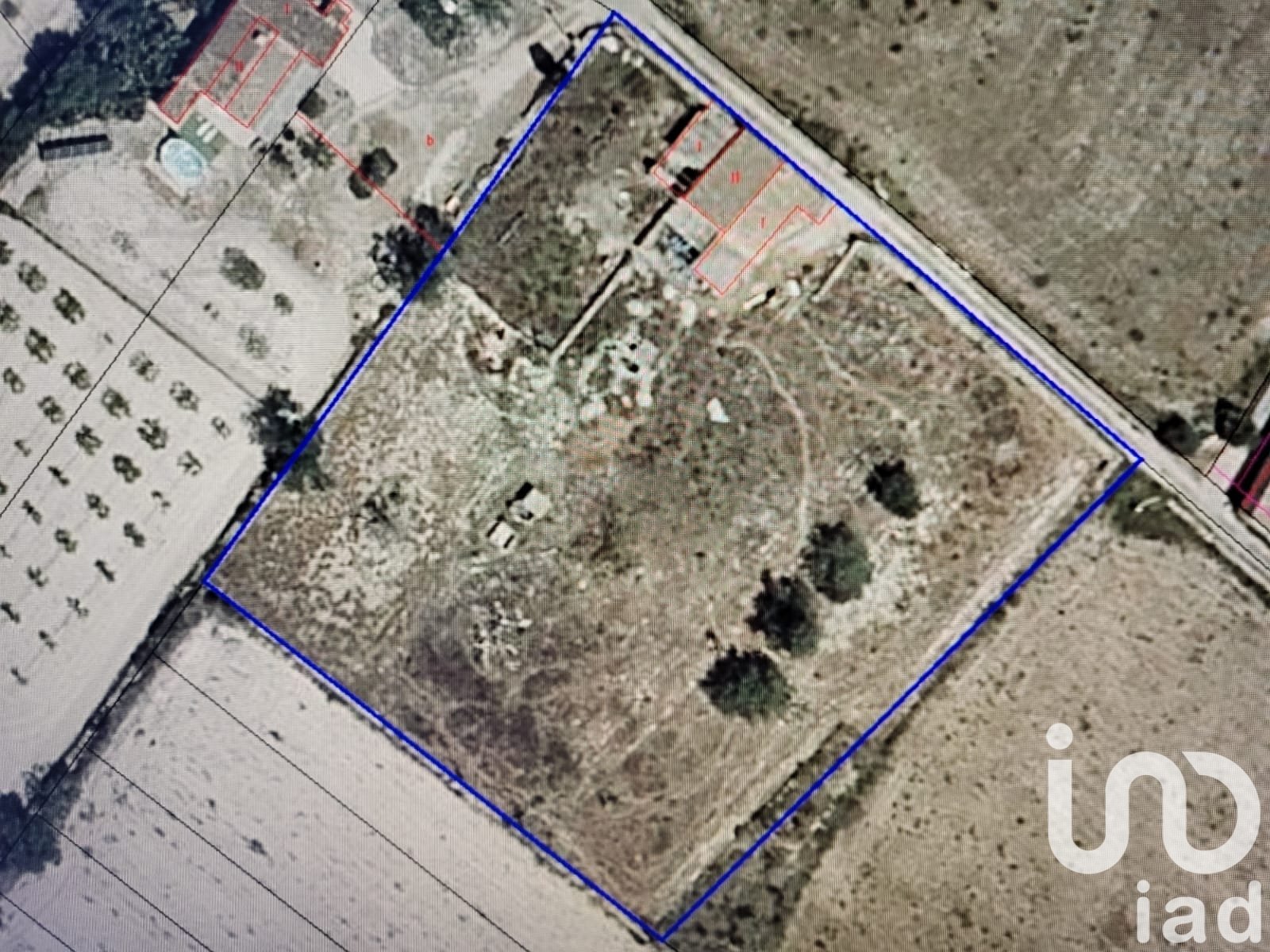 Propiedad comercial en Llubi, Mallorca, España No. 153076