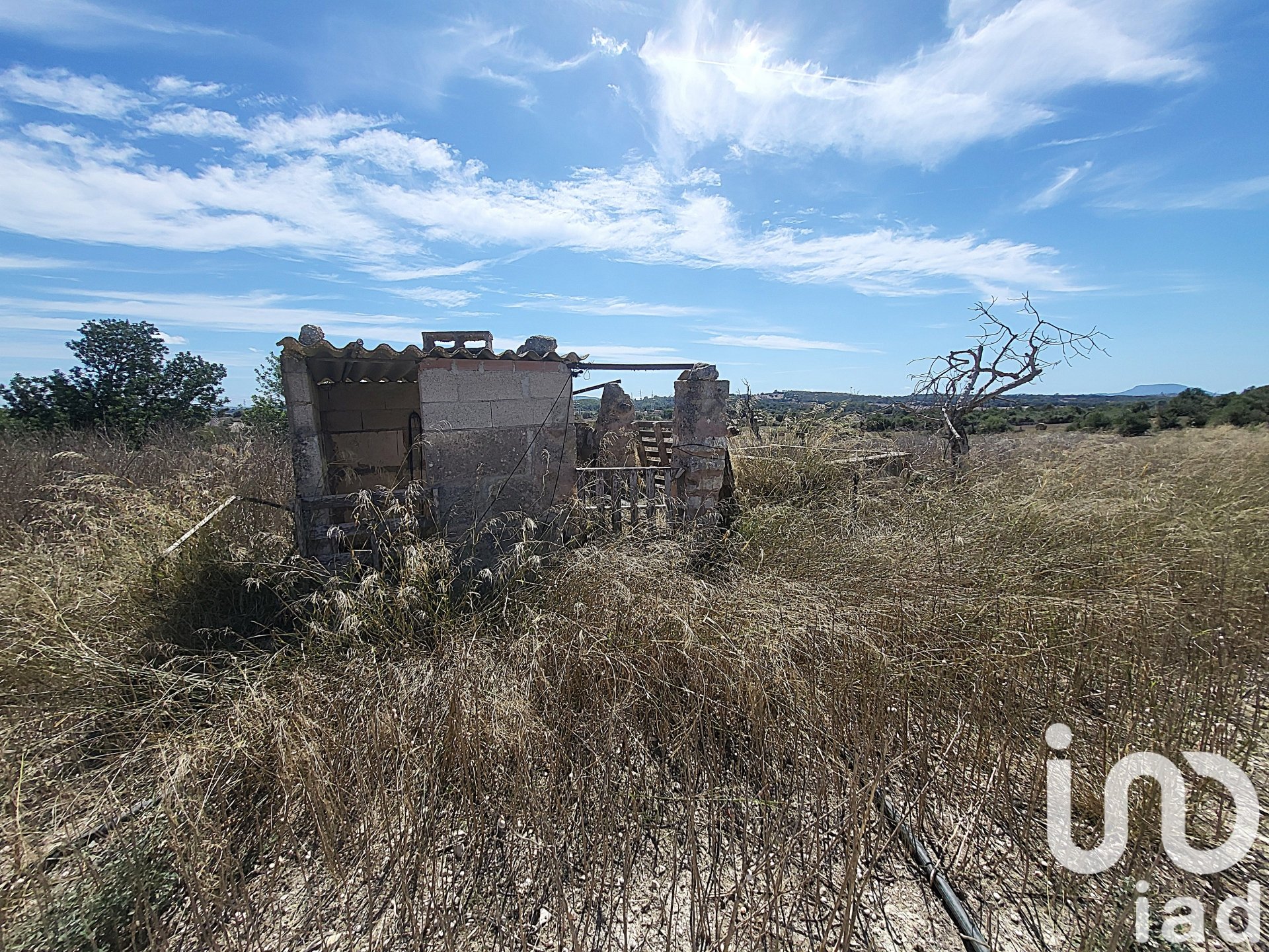 Propiedad comercial en Llubi, Mallorca, España No. 153076