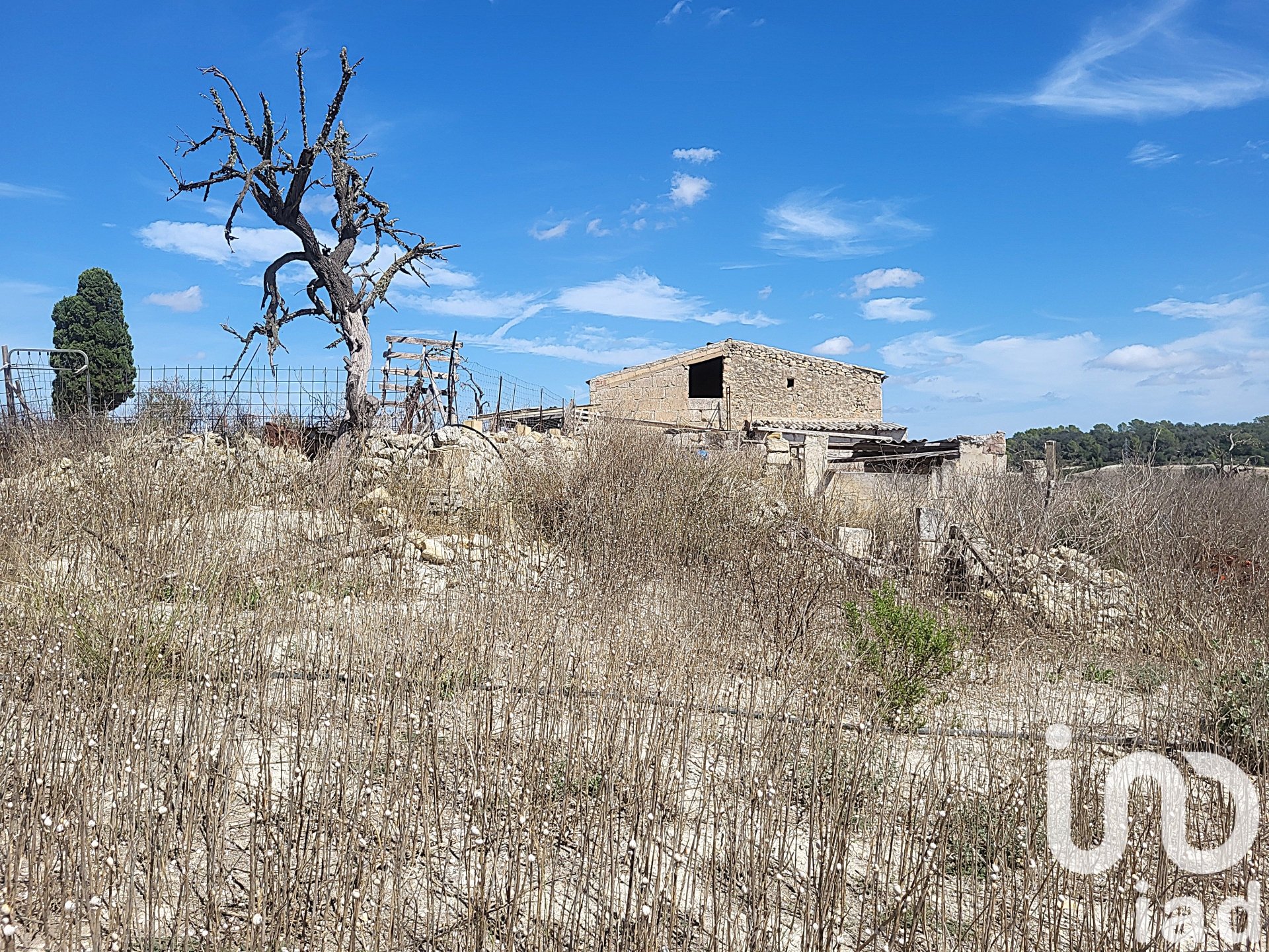 Propiedad comercial en Llubi, Mallorca, España No. 153076