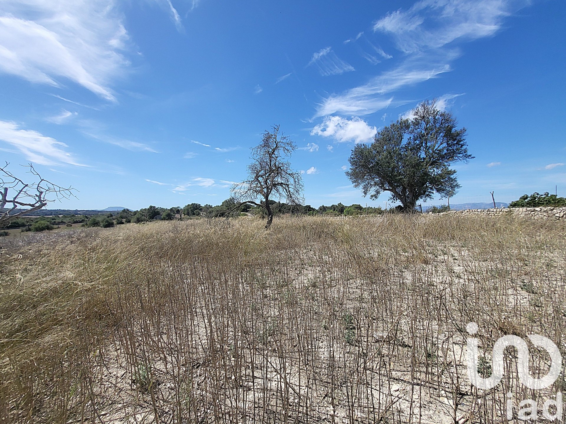 Propiedad comercial en Llubi, Mallorca, España No. 153076
