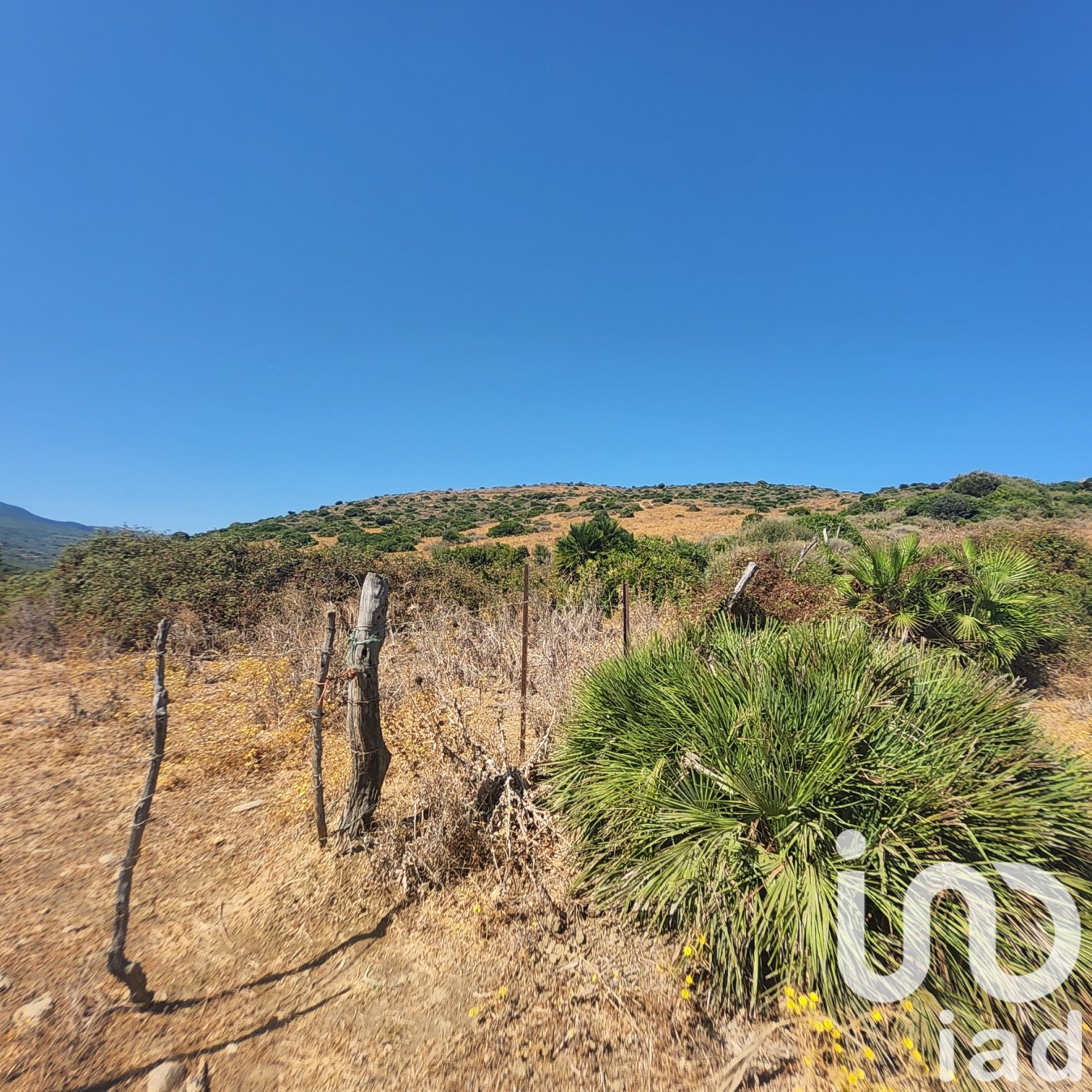 Land plot in Tarifa, Cadiz, Spain 117543 sq.m. No. 153075