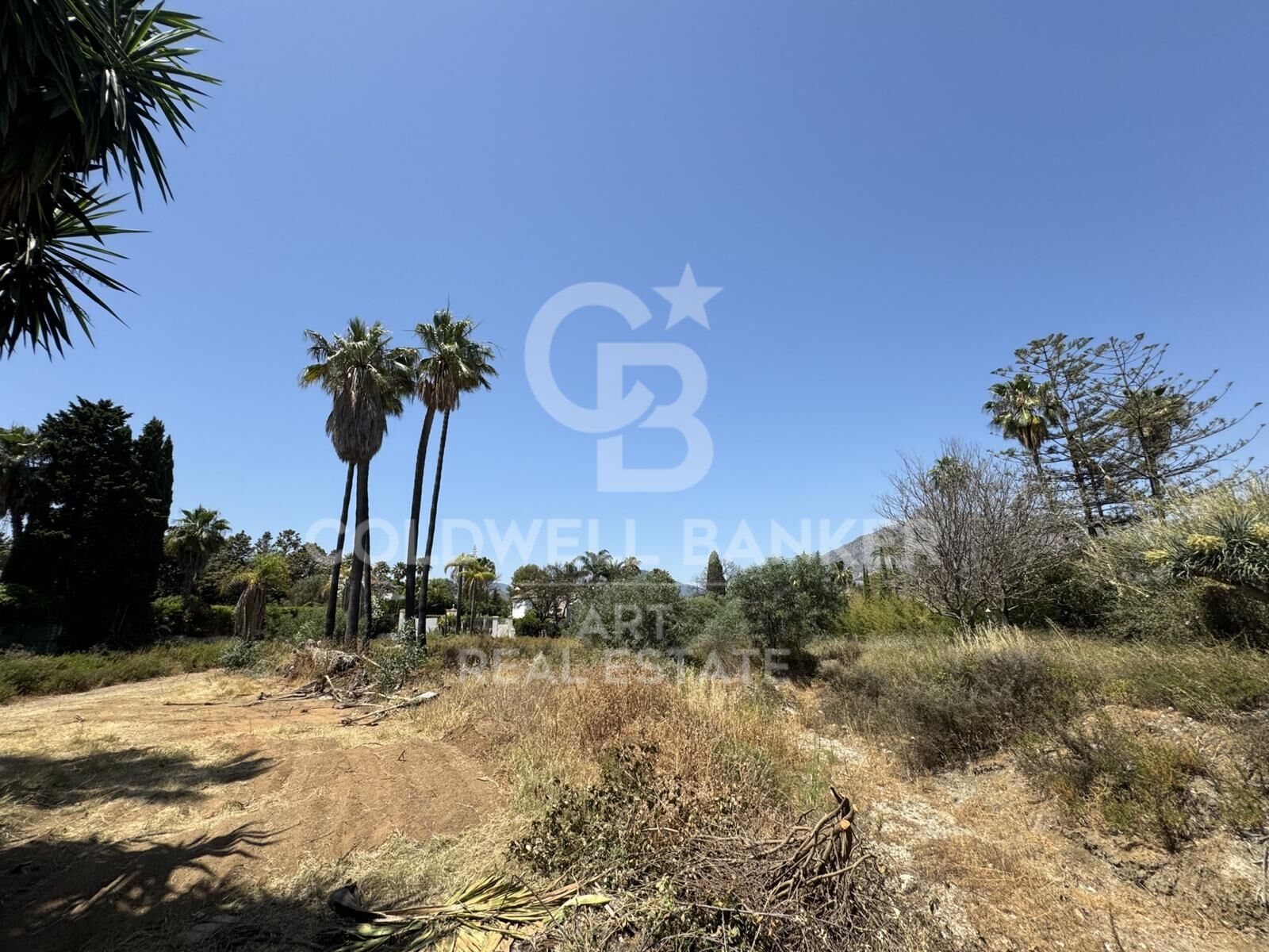 Land plot in Marbella, Malaga, Spain 3607 sq.m. No. 158482