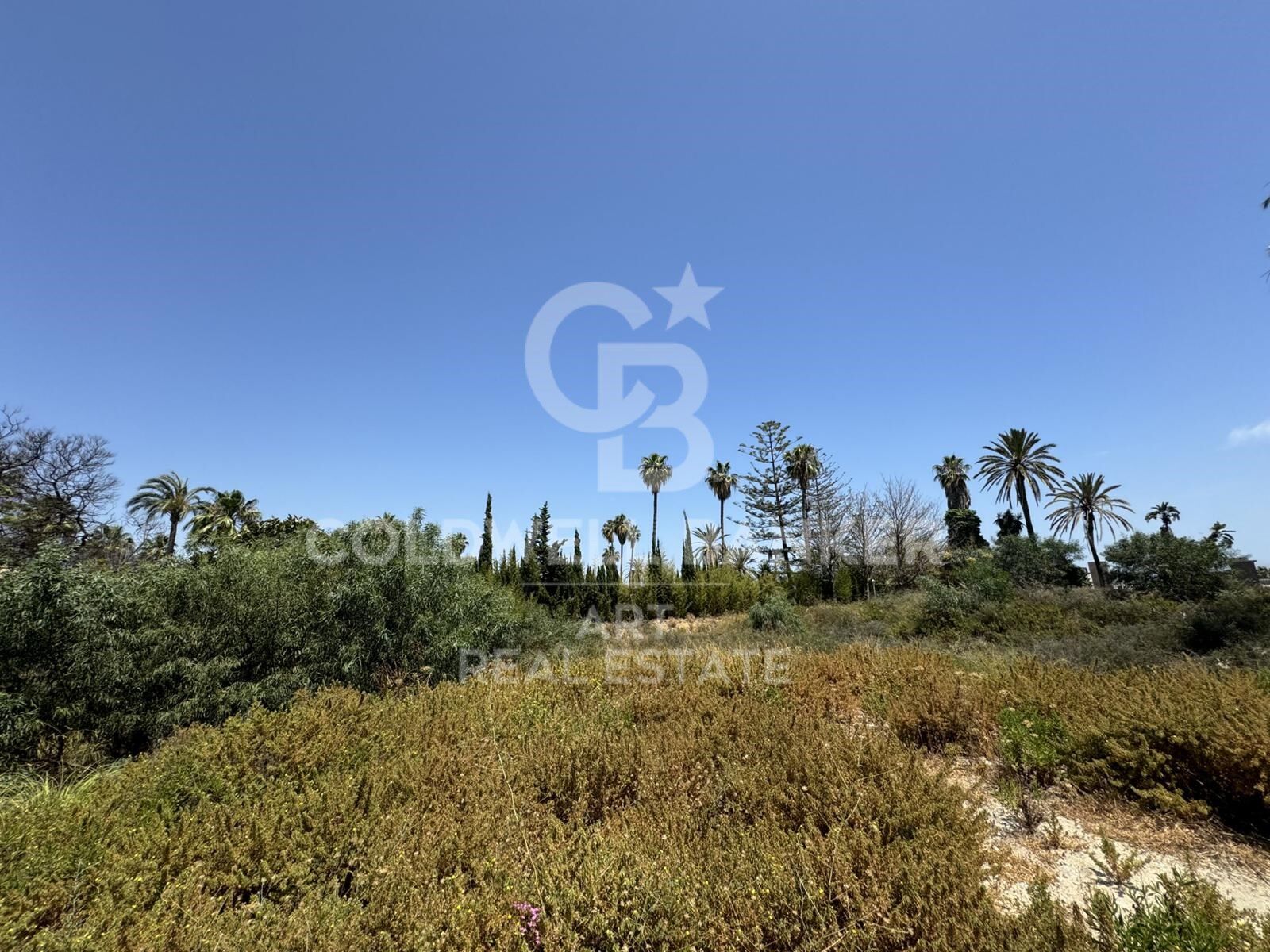 Land plot in Marbella, Malaga, Spain 3607 sq.m. No. 158482