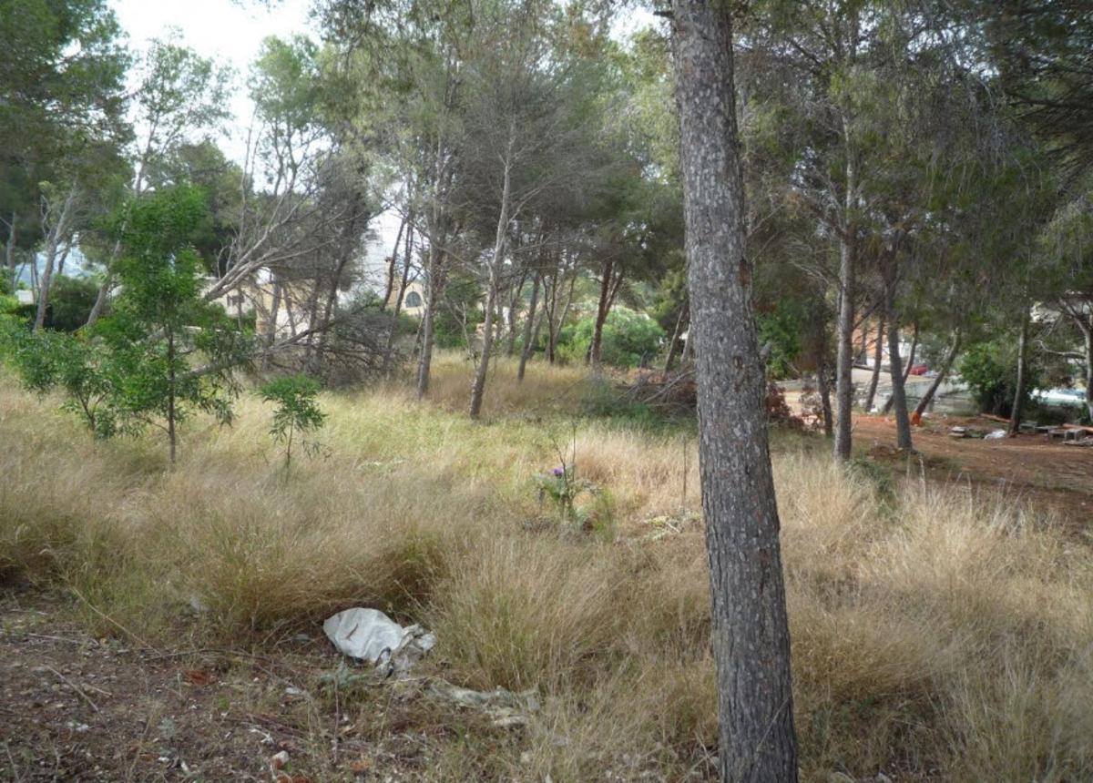 Parcela en Moraira, Alicante, España No. 80551
