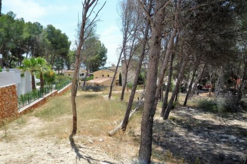 Tontti Moraira, Alicante, Espanja No. 80551