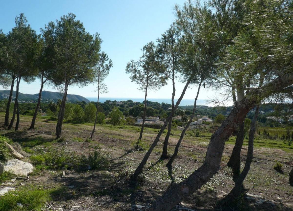 Land plot in Moraira, Alicante, Spain No. 80550