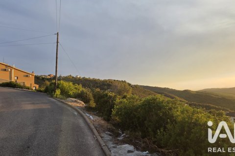 Parcela en La Bisbal Del Penedes, Tarragona, España 800 m2 No. 195734