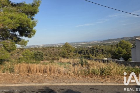 Zemes gabals La Bisbal Del Penedes, Tarragona, Spānijā 567 m2 Nr. 195736