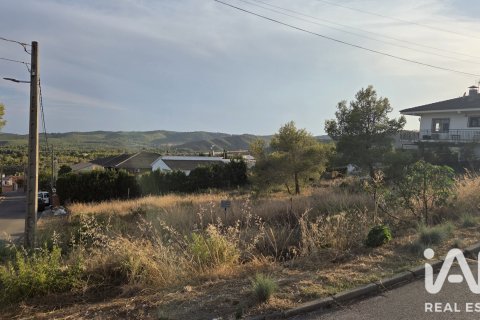 Zemes gabals La Bisbal Del Penedes, Tarragona, Spānijā 1090 m2 Nr. 195737