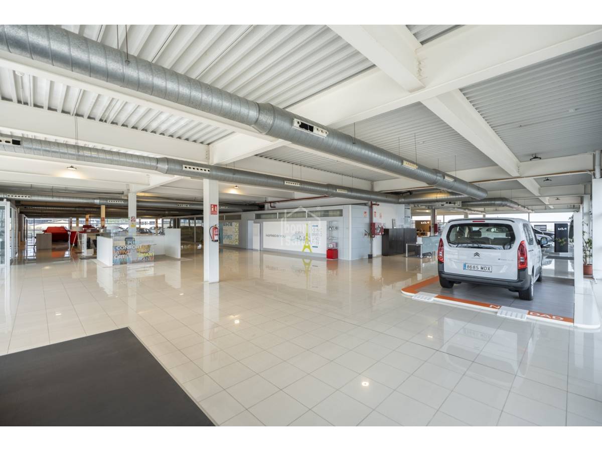 Commercial property in Mahon, Menorca, Spain 6018 sq.m. No. 133207