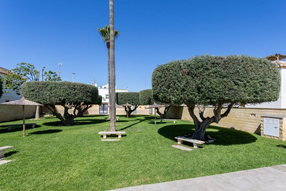 Dzīvoklis Torrevieja, Alicante, Spānijā 3 istabas, 110 m2 Nr. 196998