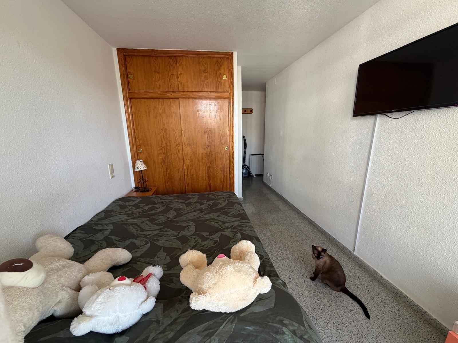Appartamento a Guardamar del Segura, Alicante, Spagna 3 camere da letto, 108 mq. N° 195628