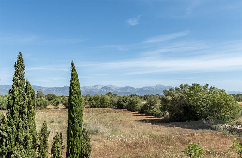 Willa w Santa Eugenia, Mallorca, Hiszpania 5 sypialni, 601 mkw. nr 180185