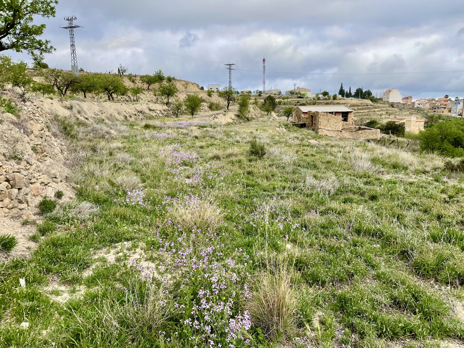 Tontti Relleu, Alicante, Espanja 282 m2 No. 192511