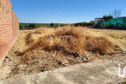 Zemes gabals Canada Rosal, Seville, Spānijā 180 m2 Nr. 185759