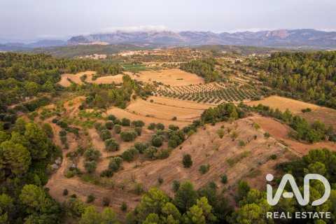 Commercial property in Lledo, Teruel, Spain No. 192155
