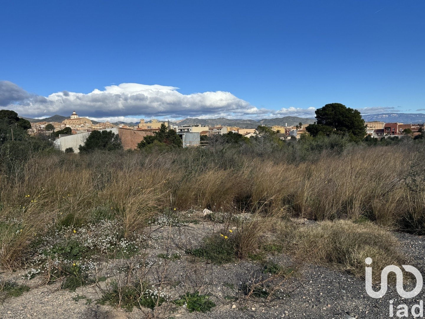 Parcela en Mont-roig del Camp, Tarragona, España 9234 m2 No. 153761