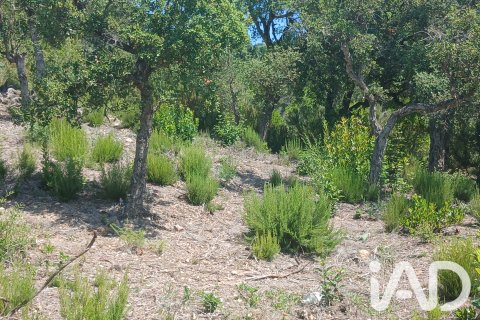Land plot in Lloret de Mar, Girona, Spain 567 sq.m. No. 195098