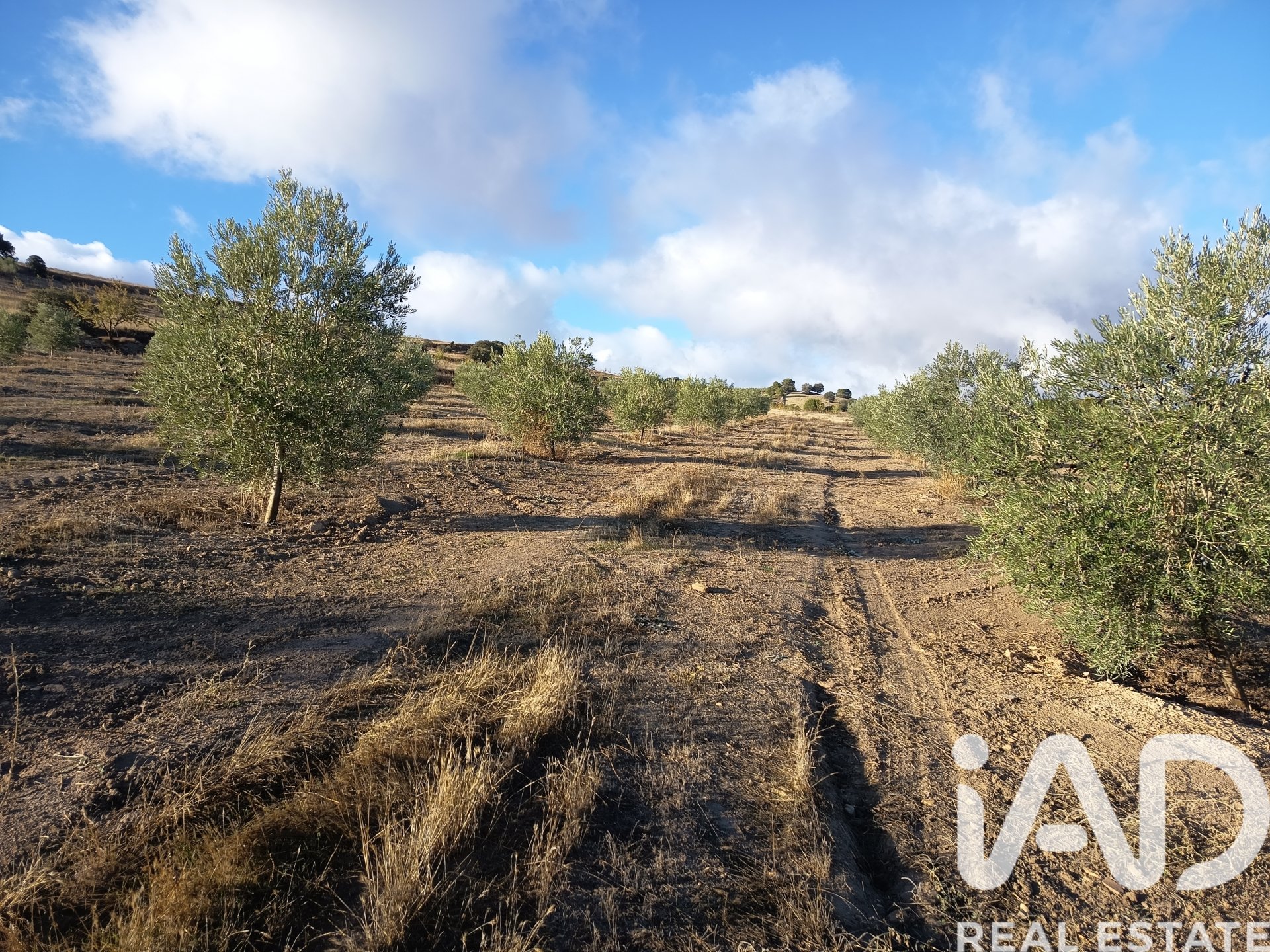 Land plot in Granada, Spain 308000 sq.m. No. 152801
