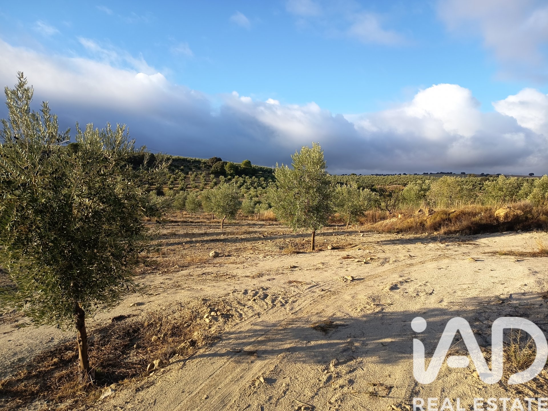Land plot in Granada, Spain 308000 sq.m. No. 152801