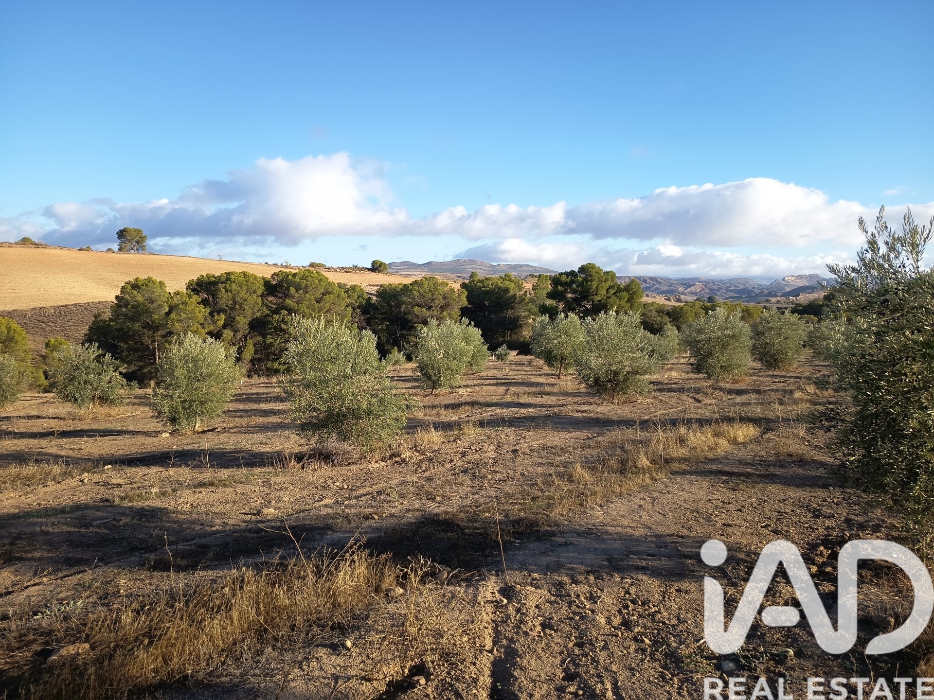 Land plot in Granada, Spain 308000 sq.m. No. 152801