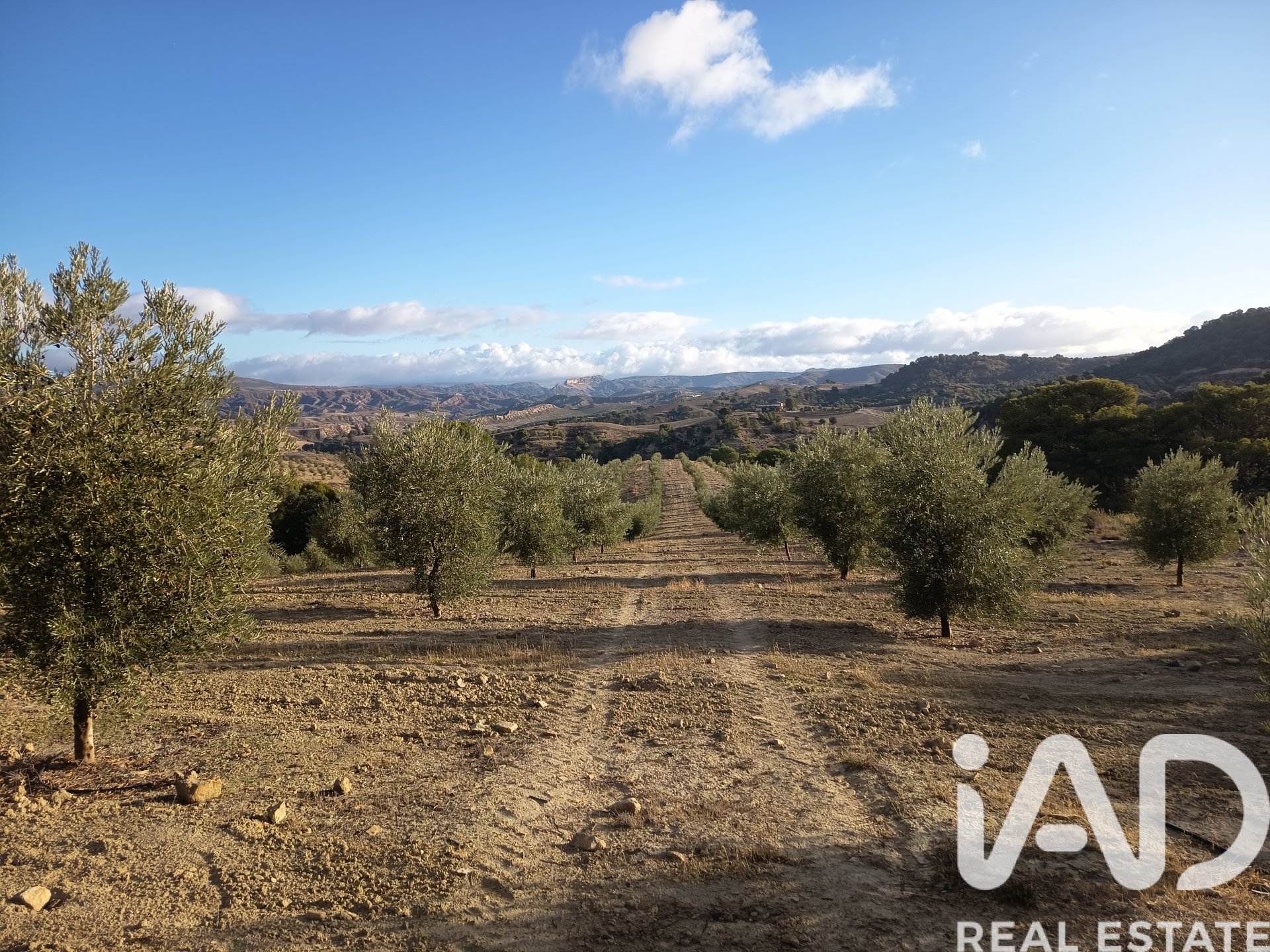 Land plot in Granada, Spain 308000 sq.m. No. 152801