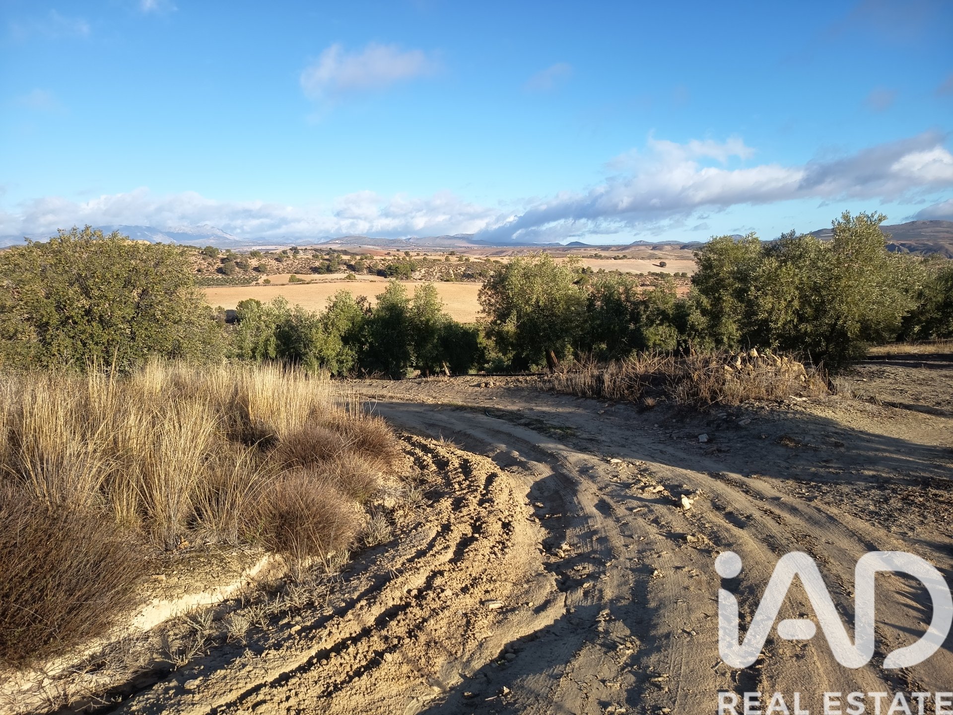 Land plot in Granada, Spain 308000 sq.m. No. 152801