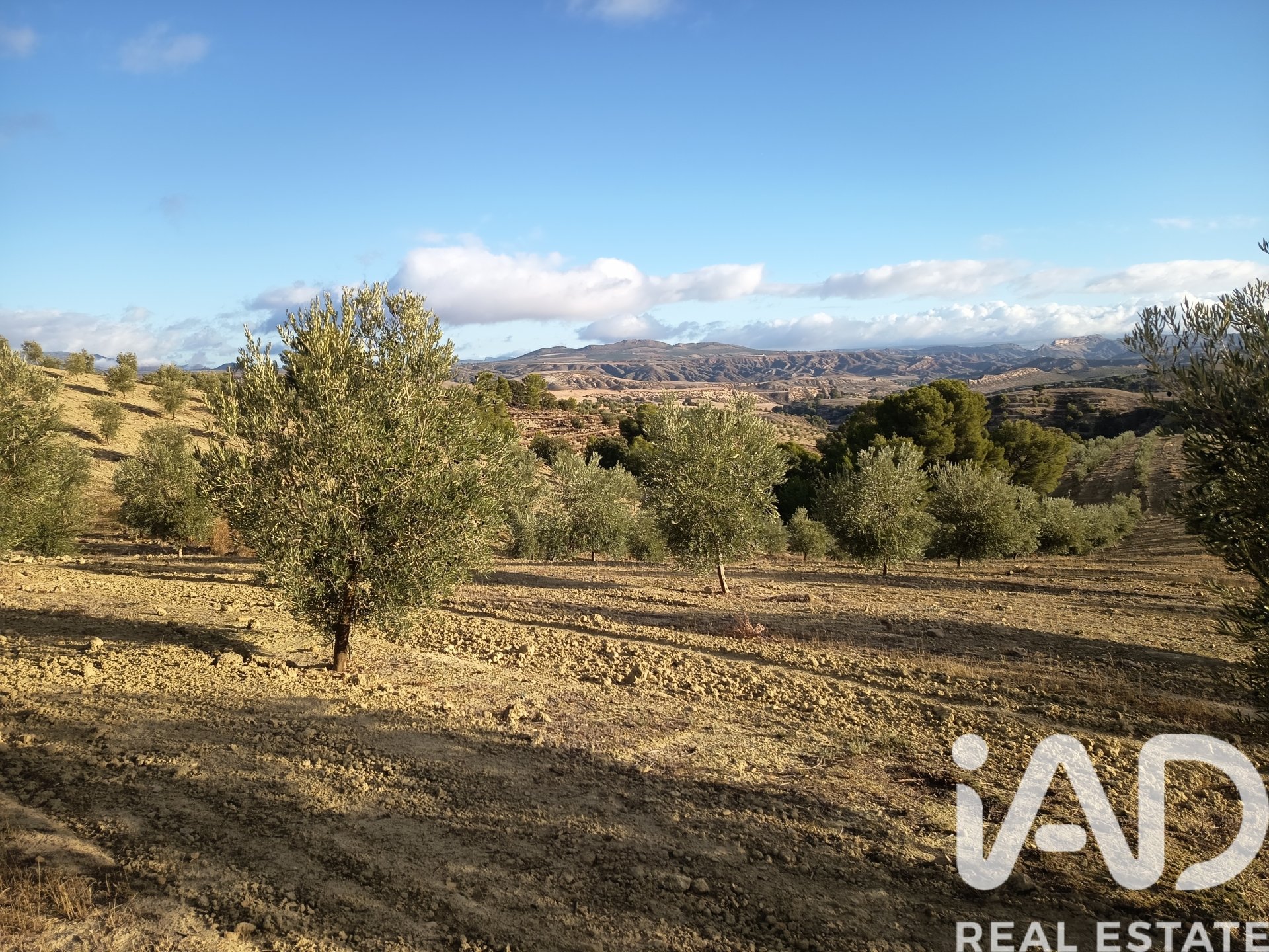 Land plot in Granada, Spain 308000 sq.m. No. 152801