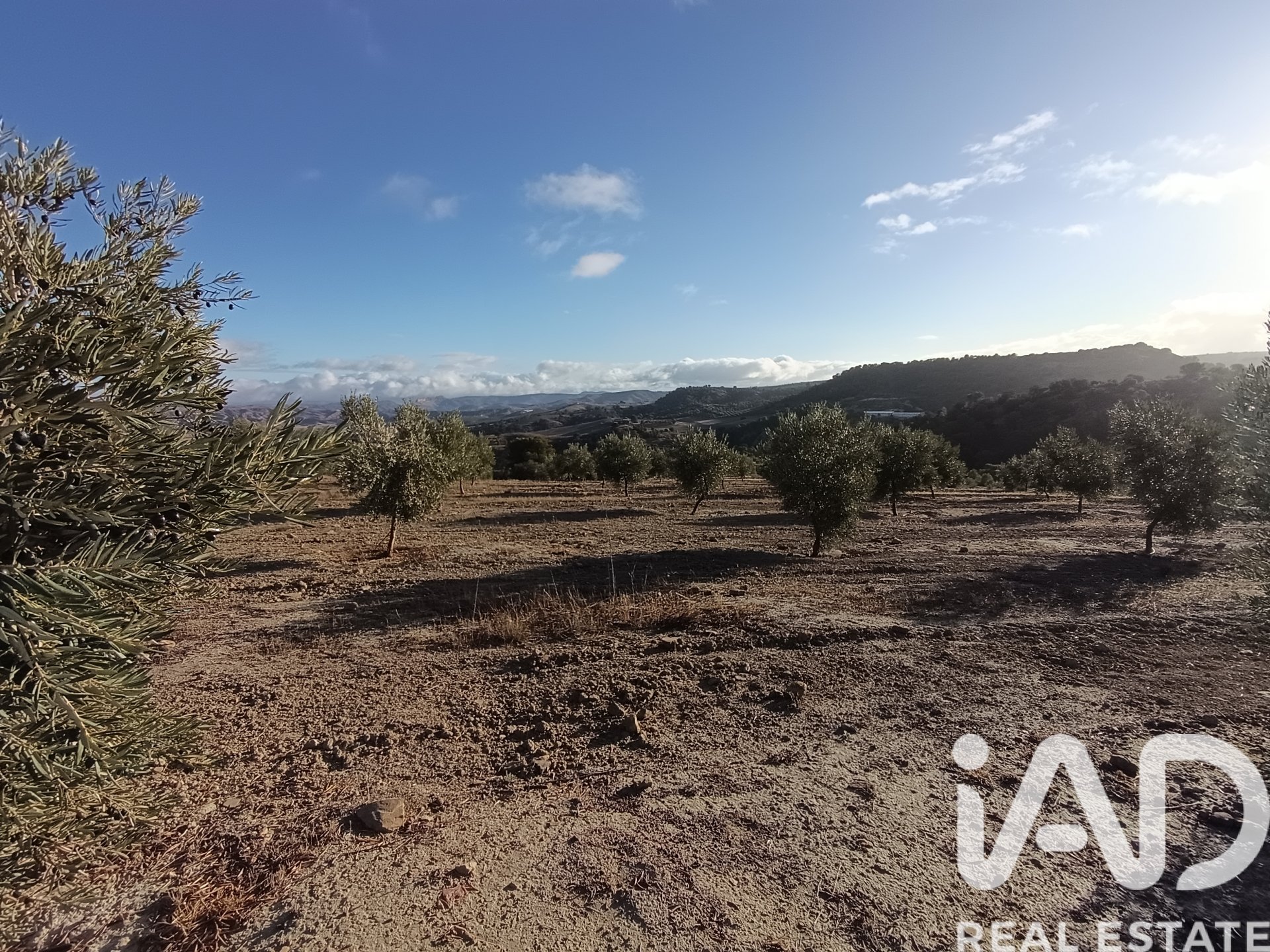 Land plot in Granada, Spain 308000 sq.m. No. 152801