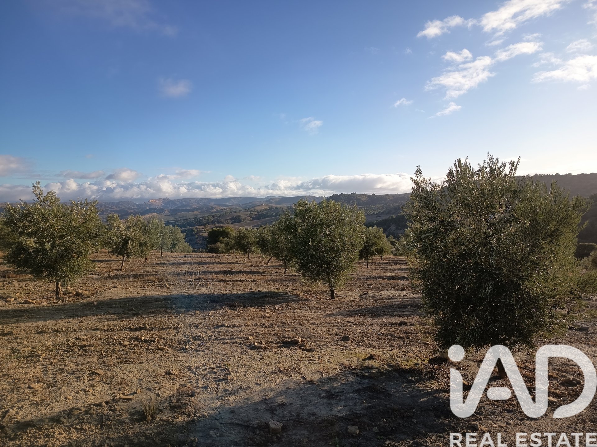 Land plot in Granada, Spain 308000 sq.m. No. 152801