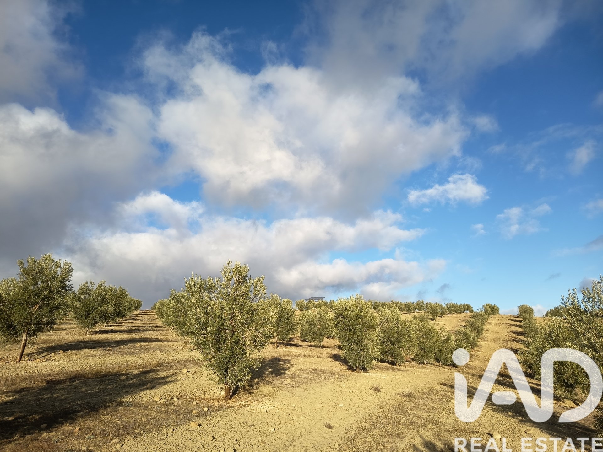 Land plot in Granada, Spain 308000 sq.m. No. 152801