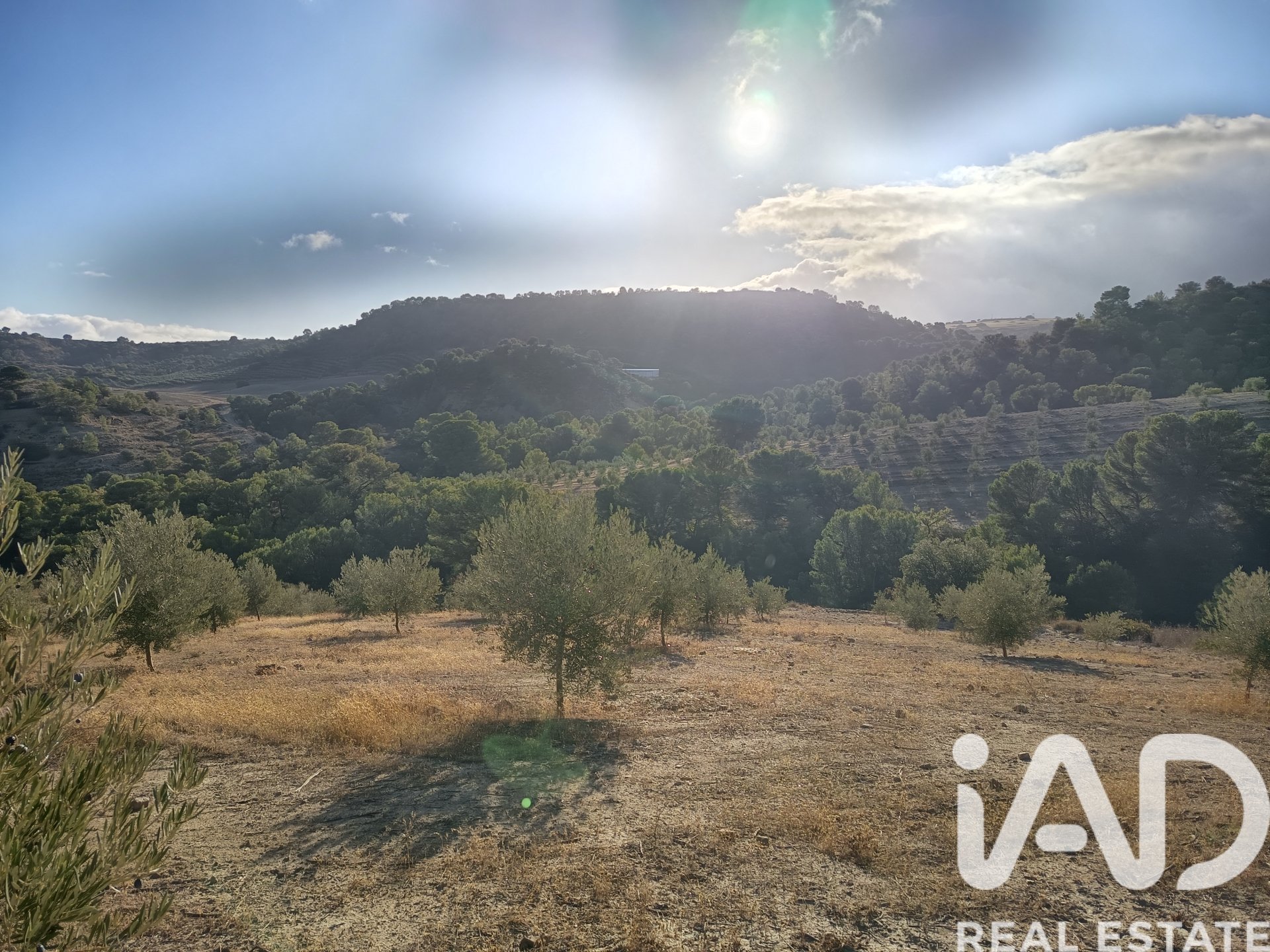 Land plot in Granada, Spain 308000 sq.m. No. 152801