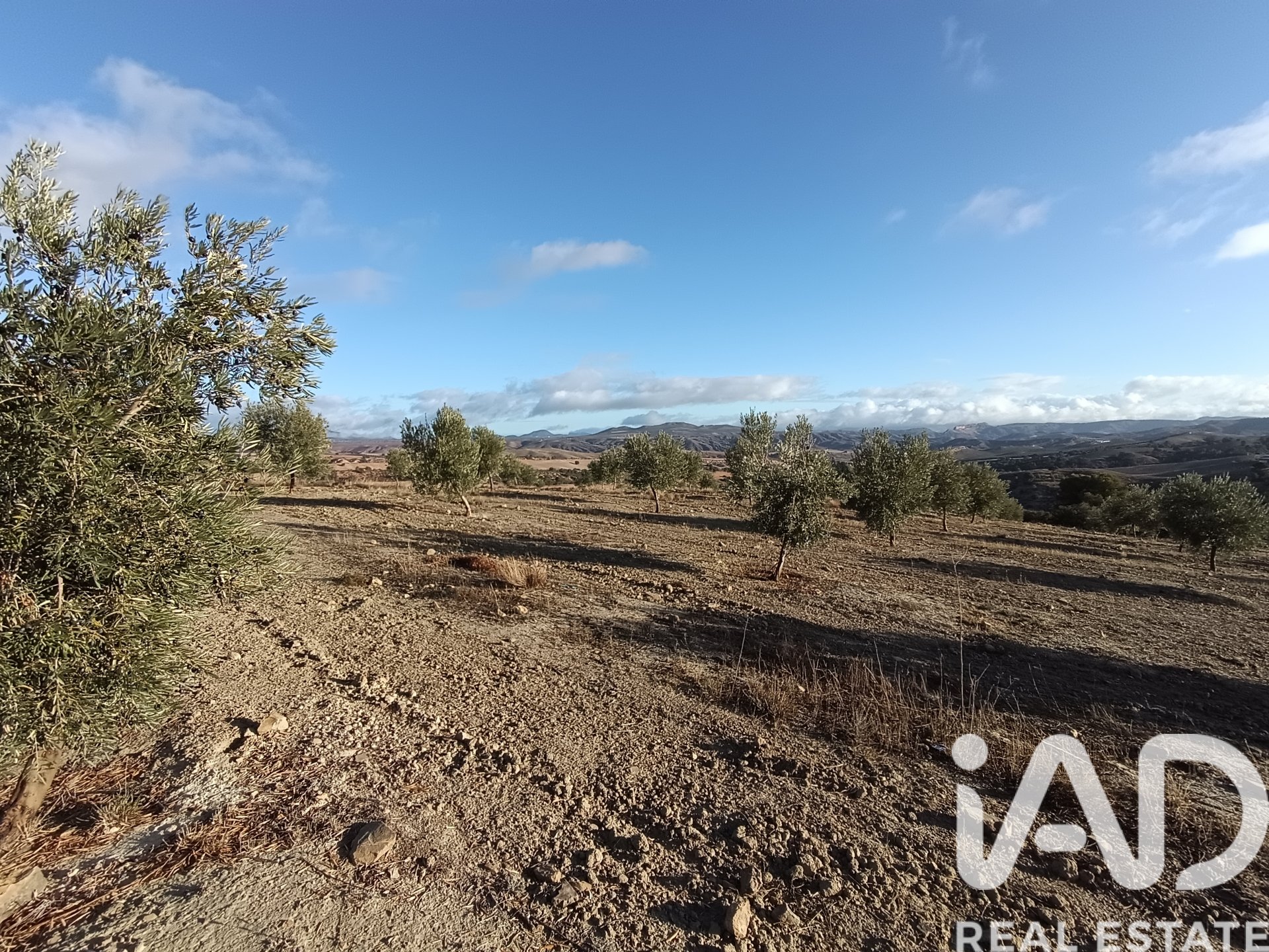 Land plot in Granada, Spain 308000 sq.m. No. 152801