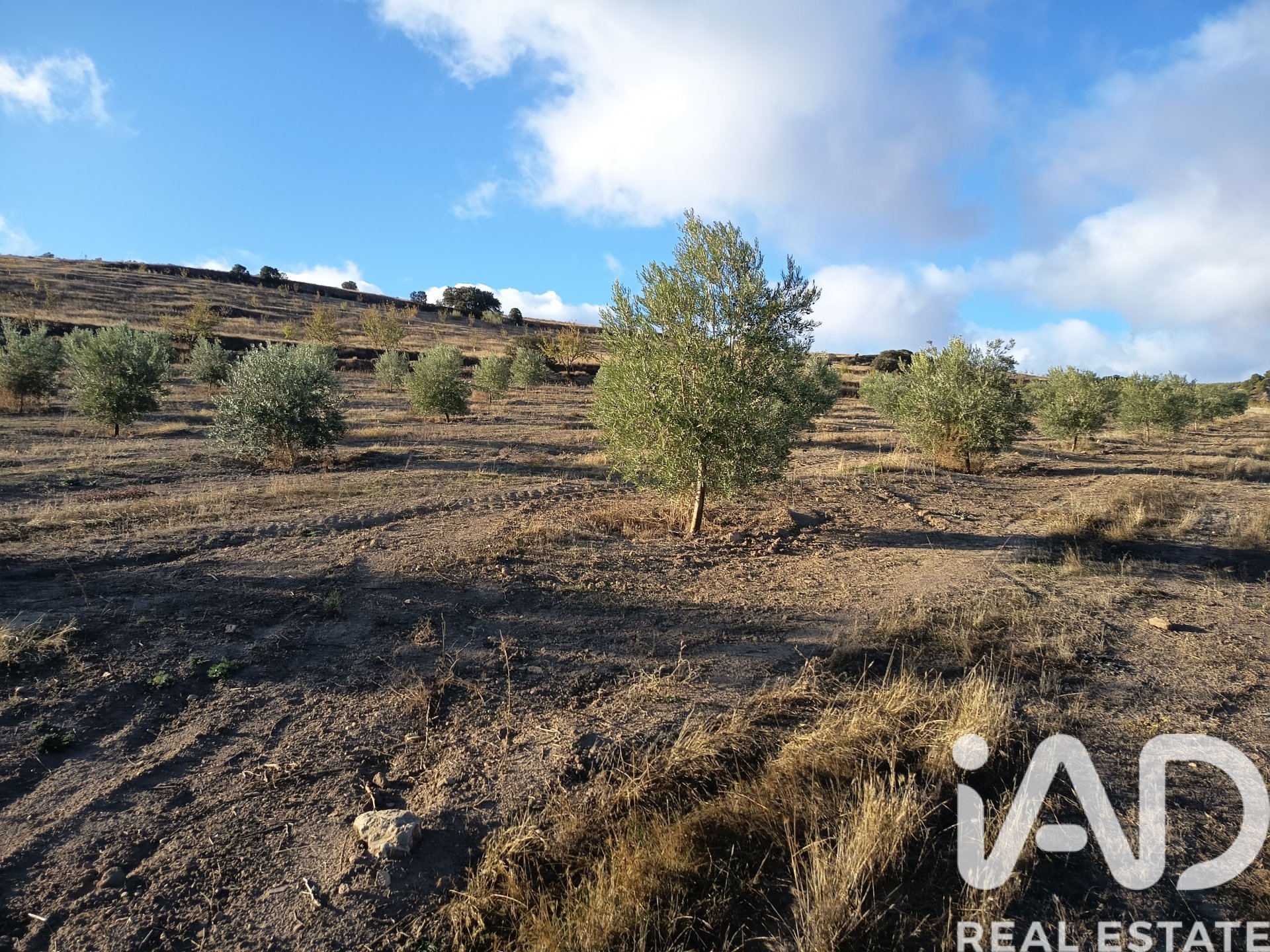 Land plot in Granada, Spain 308000 sq.m. No. 152801