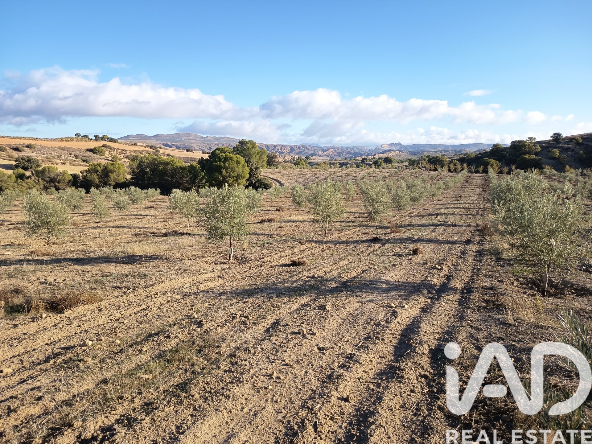 Land plot in Granada, Spain 308000 sq.m. No. 152801