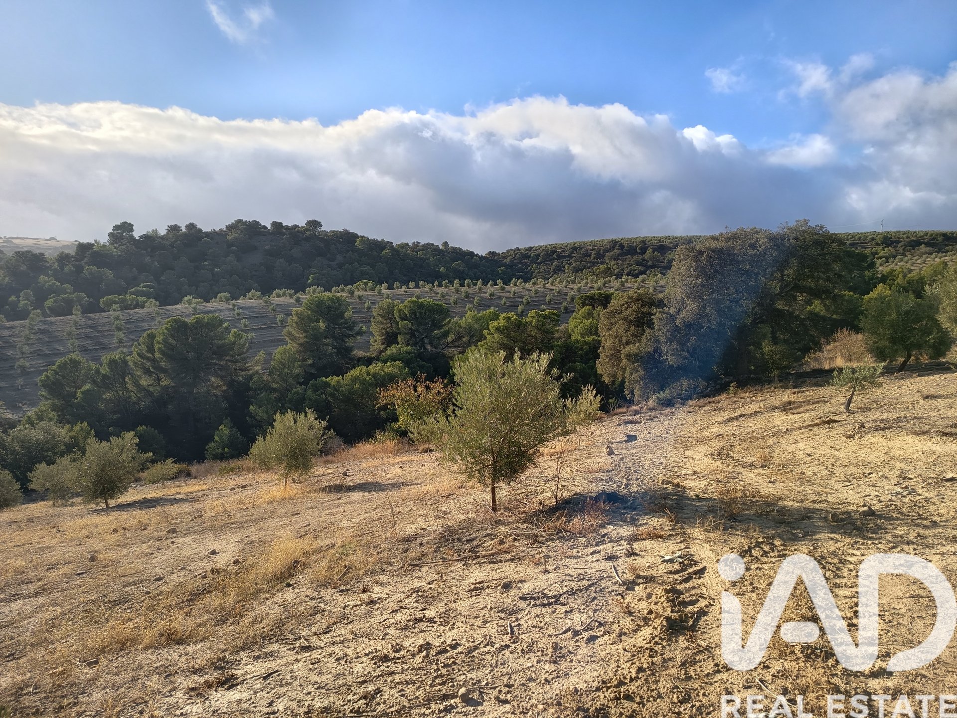 Land plot in Granada, Spain 308000 sq.m. No. 152801