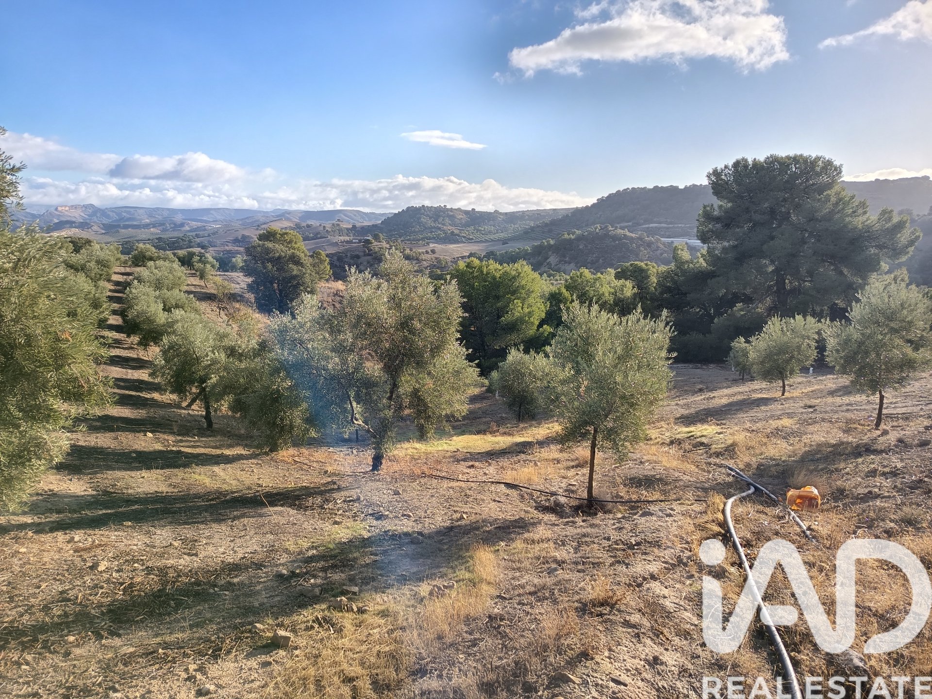 Land plot in Granada, Spain 308000 sq.m. No. 152801