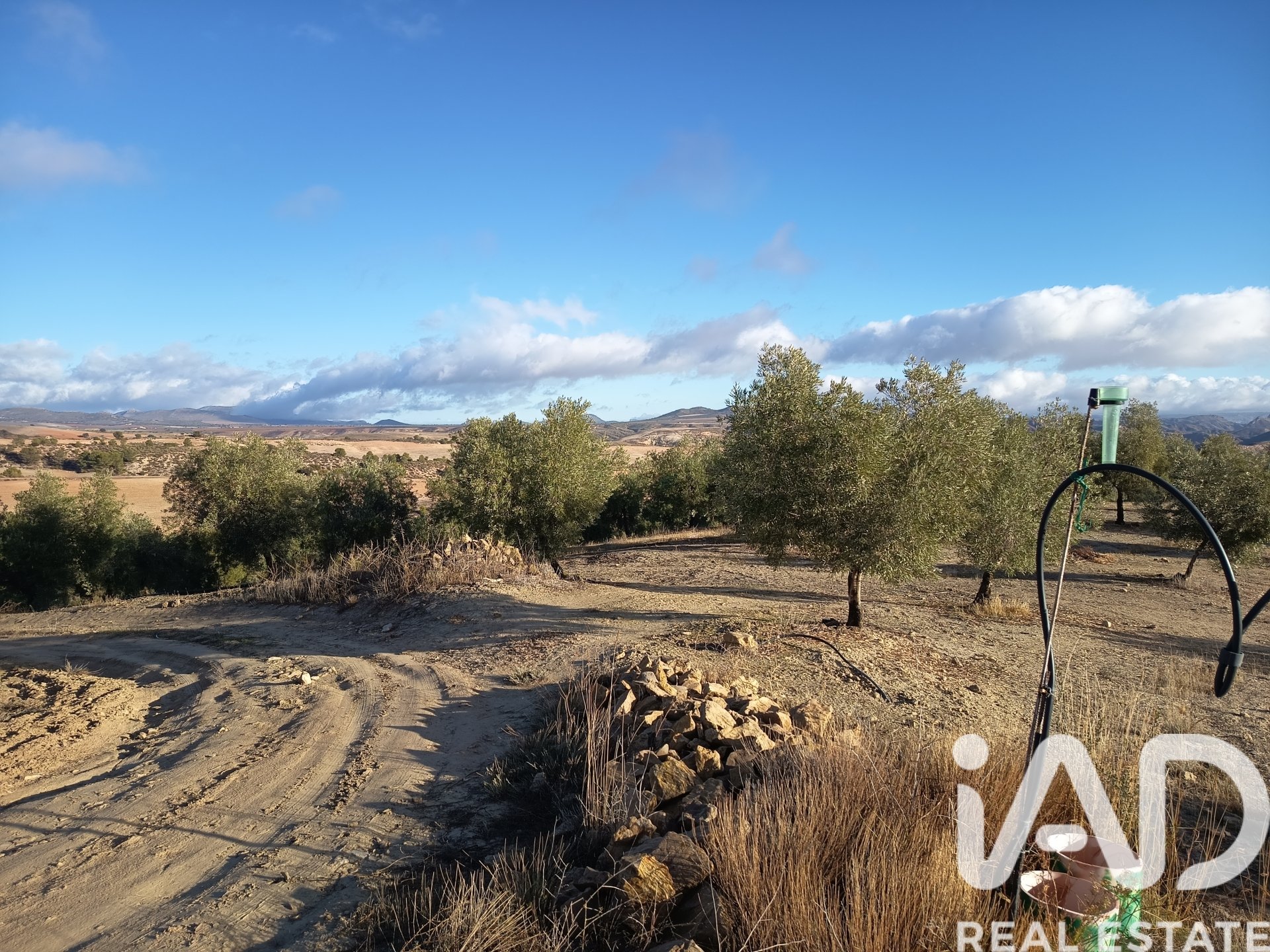 Land plot in Granada, Spain 308000 sq.m. No. 152801