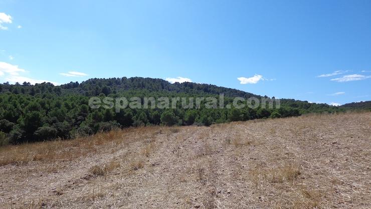 House in Las Vertientes, Granada, Spain 348 sq.m. No. 147024