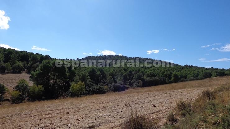 House in Las Vertientes, Granada, Spain 348 sq.m. No. 147024