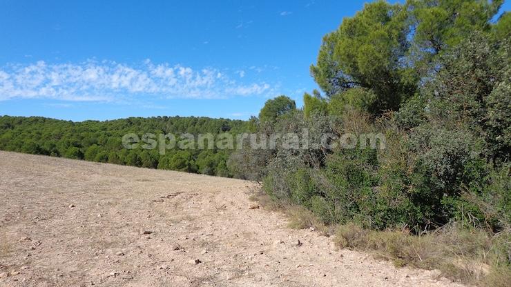 House in Las Vertientes, Granada, Spain 348 sq.m. No. 147024