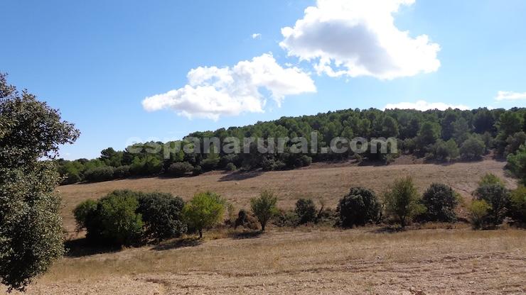House in Las Vertientes, Granada, Spain 348 sq.m. No. 147024