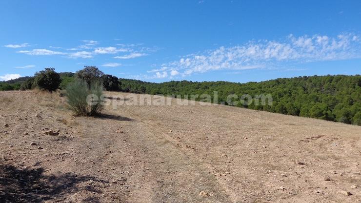 House in Las Vertientes, Granada, Spain 348 sq.m. No. 147024