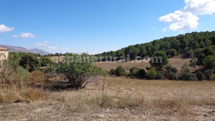 House in Las Vertientes, Granada, Spain 348 sq.m. No. 147024